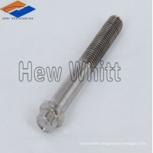 Gr5 titanium flange head bolt